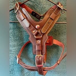 Walk your dog in STYLE!!!